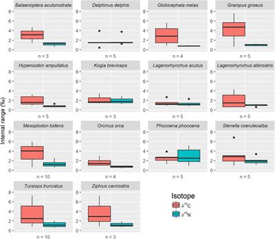 Cetacean Skeletons Demonstrate Ecologically Relevant Variation in Intraskeletal Stable Isotopic Values